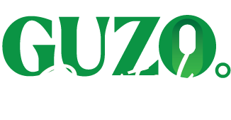 Guzo Digital